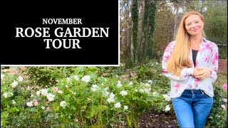 November Backyard Rose Garden Tour