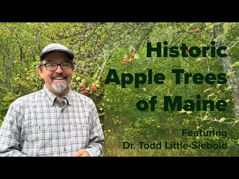 Historic Apple Trees of Maine