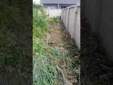 Quarter Plot of Land (20ft × 80ft) – Iyana Isheri Irawo Owuro, Ijegun/Ikotun-Egbe, Lagos