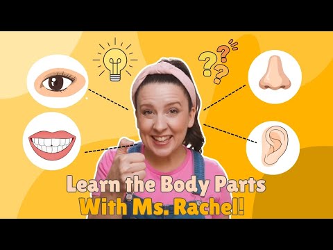 Teach Your Toddlers Body Parts with Ms. Rachel - Interactive Learning