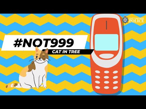 #Not999 -  Cat stuck up a tree