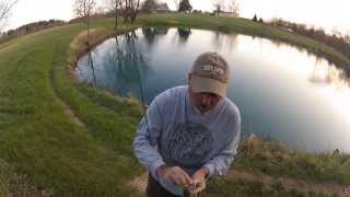 preview picture of video 'Two Bass in Two Casts on a G&G Spinner-Bait'