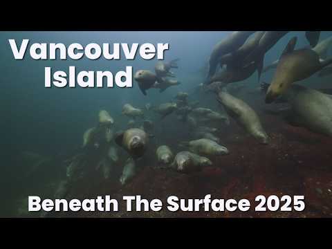 Vancouver Island Beneath the Surface | 2025 Scuba Diving Highlights
