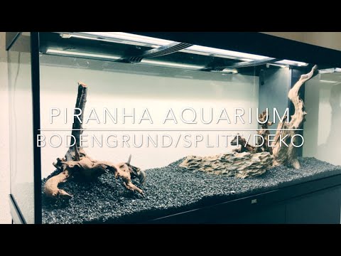 Bodengrund Aquarium für Piranhas
