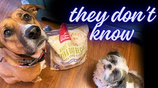 BEST AMAZON Dog Treats That AREN'T TREATS