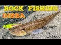 Rock fishing with metal jigs - Diba, Fujairah