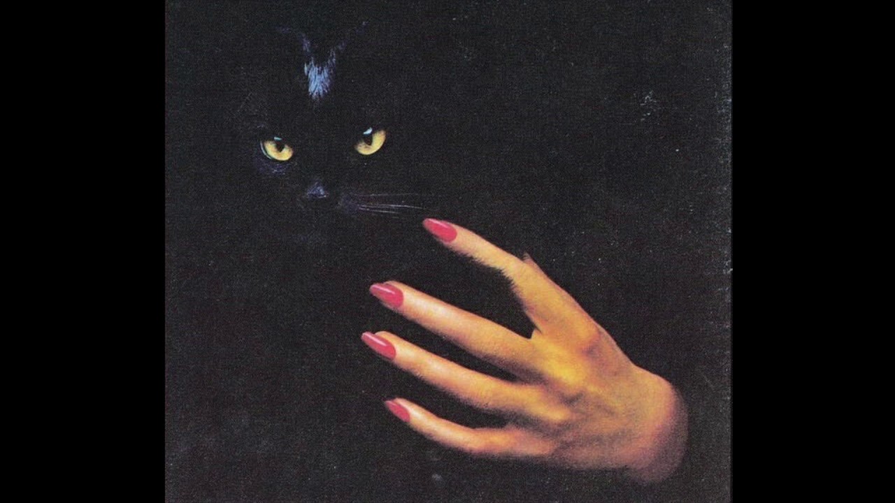 The Voidz - Black Hole
