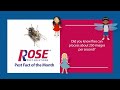 Rose Pest Solutions' Fly TV Commercial