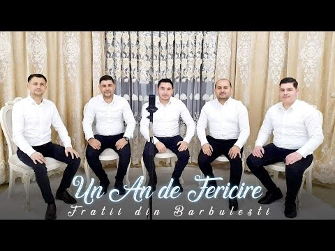 Fratii din Barbulesti - UN AN DE FERICIRE