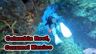 Diving Columbia Reef In Cozumel Mexico {[Can You Find The Species]}