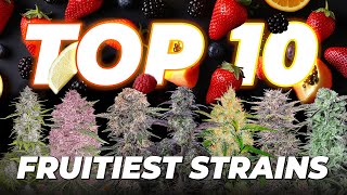 Top 10 Fruitiest Cannabis Strains | Fast Buds Autoflowers