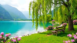 Forest Nature, Beautiful Relaxing Music, Peaceful Soothing Instrumental Music by Love YourSelf