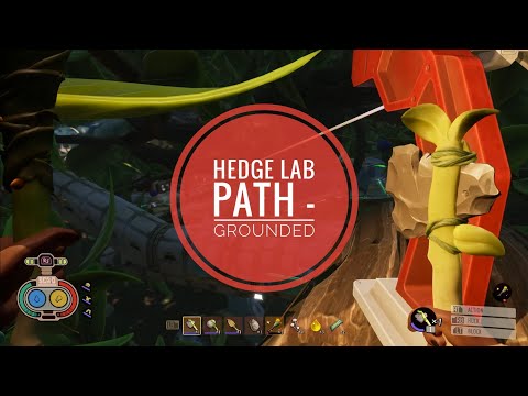 How to do Hedge Lab Path - Grounded (Part 2 of Playthrough)