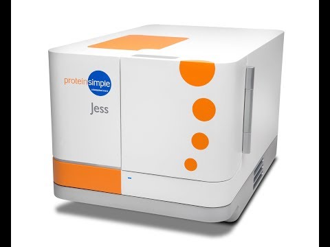Jess Training: Your Protein Analysis Solution For Automated Western Blots
