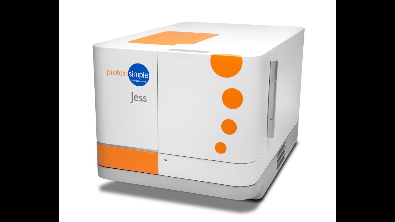 Jess Training: Your Protein Analysis Solution For Automated Western Blots