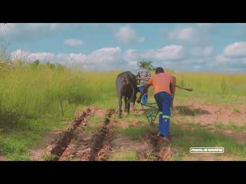 Mealie Brand Magoye Ripper Plough