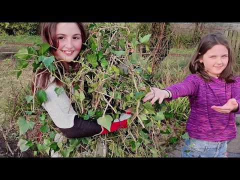 Reboot Education with Self Directed Learning