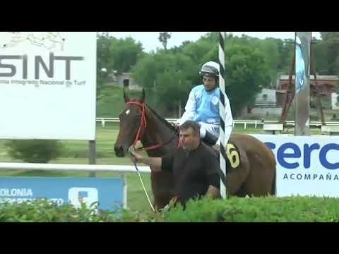 221030 c06 - MESTRE D'ALHOS - SINT COLONIA - PREF. ASOCIACIÓN TURÍSTICA DEPARTAMENTAL DE COLONIA