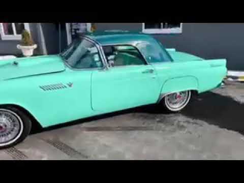 1955 Ford Thunderbird (CC-1446881) for sale in Hilton, New York