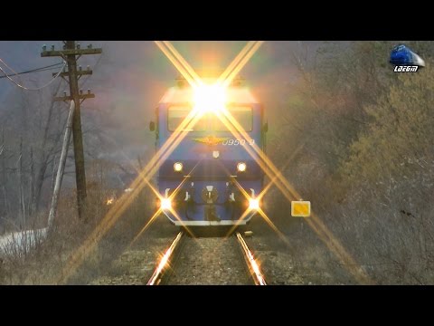 Horns Show By Isabella - Jimmy 65-0950-9 in Apuseni Mountains - 01 February 2015