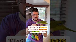 Best Treats for Training a Quaker Parrot?