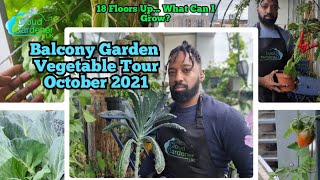 Balcony Garden Vegetable Tour. Container Garden Tour