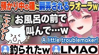 [JP/ENG SUB] 預かり中の猫に翻弄されるラオーラw Rarora getting bossed around by a foster cat 【ラオーラ・パンテーラ/ホロライブ/切り抜き】