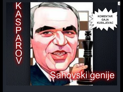 Povećavanje pritiska na protivničke figure je donelo pobedu ~ KASPAROV vs ROIZMAN  # 1426