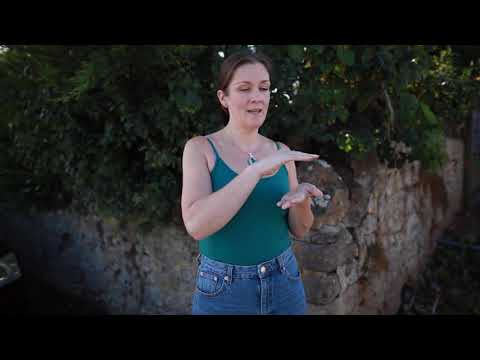 North Somerset Arts Week 2021 | A Whitten & Co Short Film