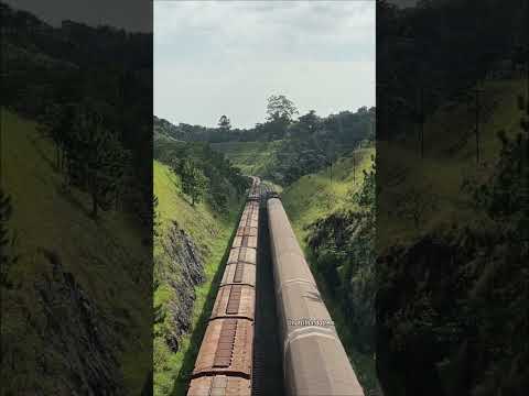 TREM DA RUMO NA ROTA SANTOS-SP X APARECIDA DO TABOADO-MS. #railway #railroad #railfan #train