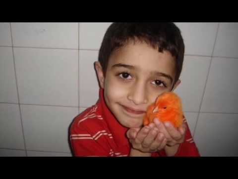 Happy 12th bday Yusha