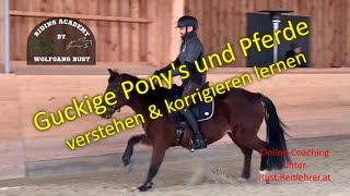 F64 Extrem nervöses & guckiges Pony mit Ruhe und korrekten Reiterhilfen ruhig reiten lernen. Pferde