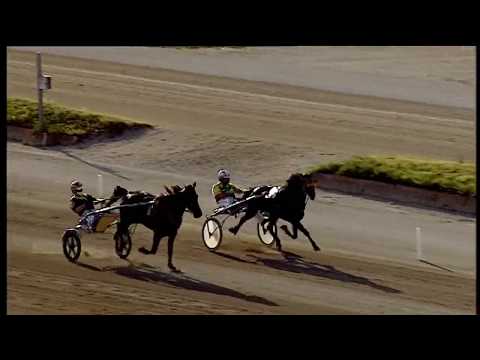 Trotto 03/07/2020 - 1ª prova di qualifica