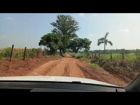 Estrada do chapadão Porto Feliz-SP #viralvideo #nature #foryou