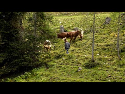 Almen in Österreich: Vom Leben mit der Natur
