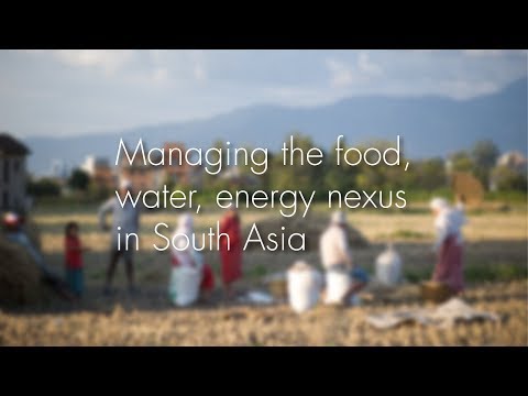 The Water Food Energy Nexus in South Asia