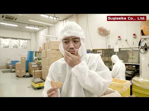 [Aichi-Nagoya Technical Visit] Sugiseika Co., Ltd. スギ製菓株式会社