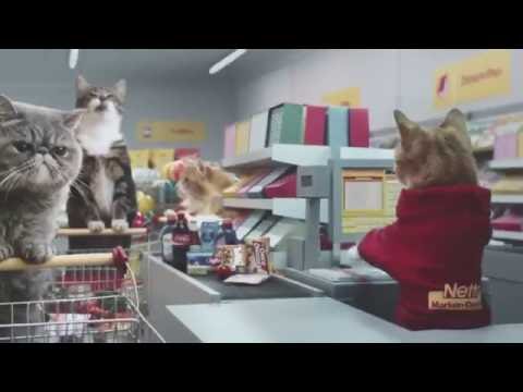 Реклама с котами