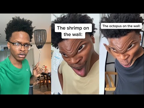 Get Ready to Laugh Out Loud with Its Andrewz Funny TikTok Videos✔