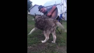 Ryan Malcolm - Change For Me