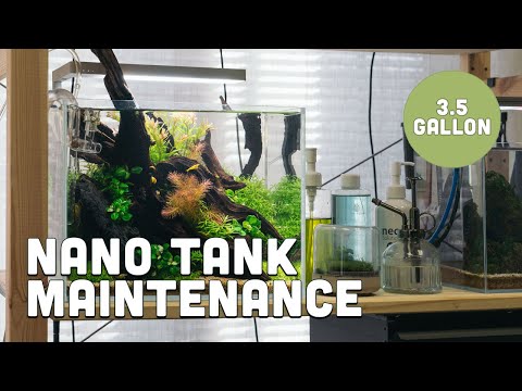 Ultum Nature Systems UNS 3T Nano Planted Aquarium - Trimming Rotala