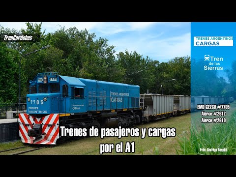 Trenes de cargas y pasajeros por el A1 #lacalera