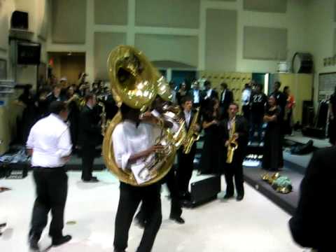 coral reef band after the concert