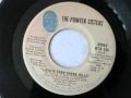 The Pointer Sisters - Love In Them There Hills