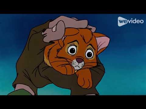 Raritylan part 6 - "Reflection"