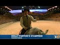 Behind The Scenes At Dolly Parton S Stampede