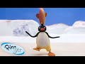 Pingu S Favorite Sports Pingu Official Channel Cartoons For Kids