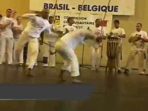 Instrutor feijão jogos belenux