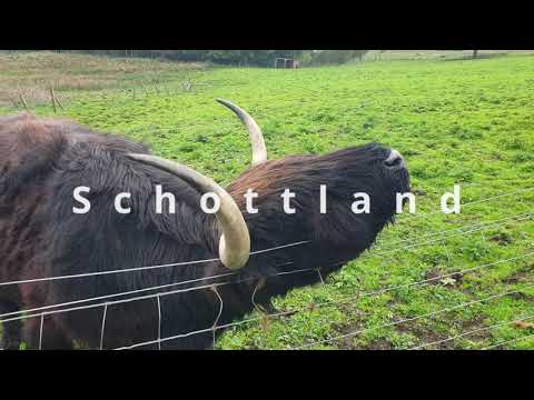 Frieda fährt nach Schottland (2022, Trailer)