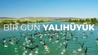 BİR GÜN | YALIHÜYÜK